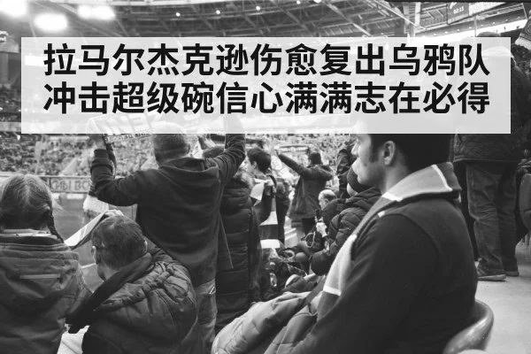 拉马尔杰克逊伤愈复出乌鸦队冲击超级碗信心满满志在必得