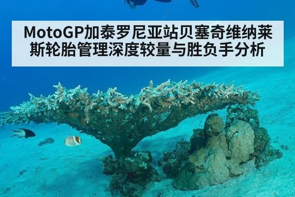 MotoGP加泰罗尼亚站贝塞奇维纳莱斯轮胎管理深度较量与胜负手分析